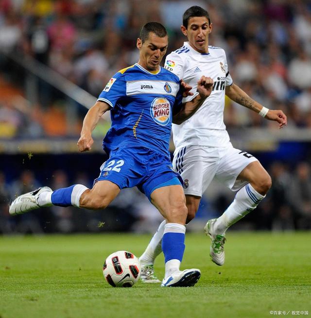 赛地聚焦——国王杯窗口期热度飙升，法兰克福篮板制胜，赛场秩序良好，团队化学反应显著 